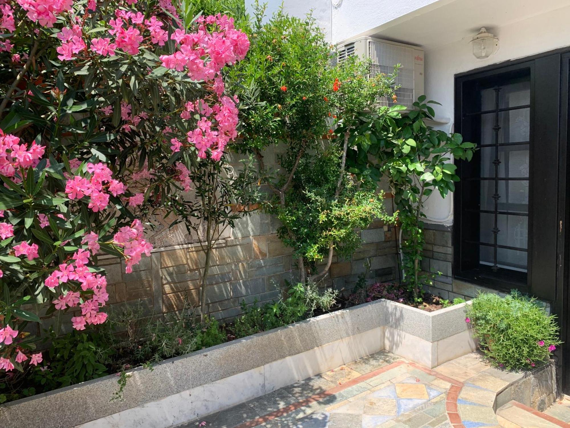Gemuetliches Appartement In Ano Poli Солун Екстериор снимка